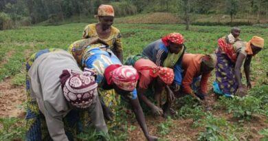Rutsiro : Le district veut augmenter le nombre d’adhérents au programme « Tekana Urishingiwe Muhinzi-Mworozi »
