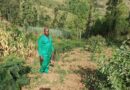 Gatsibo : Comment le RDDP2 a transformé Ngendahayo Ismael, d’un éleveur ordinaire en entrepreneur prospère du fourrage