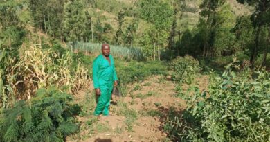 Gatsibo : Comment le RDDP2 a transformé Ngendahayo Ismael, d’un éleveur ordinaire en entrepreneur prospère du fourrage Gatsibo : Comment le RDDP2 a transformé Ngendahayo Ismael, d’un éleveur ordinaire en entrepreneur prospère du fourrage