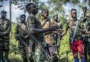 RDC-Rwanda : le Rwanda affirme que le FDLR empêche toujours le retour de réfugiés rwandais