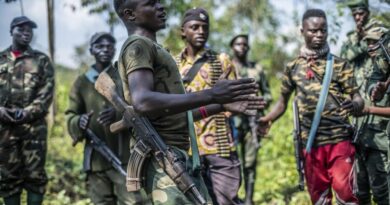 RDC-Rwanda : le Rwanda affirme que le FDLR empêche toujours le retour de réfugiés rwandais